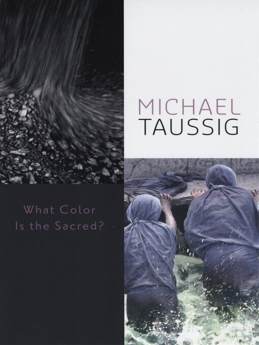 Title details for What Color Is the Sacred? by Michael Taussig - Available